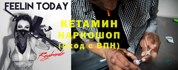 прущие крисы Новозыбков