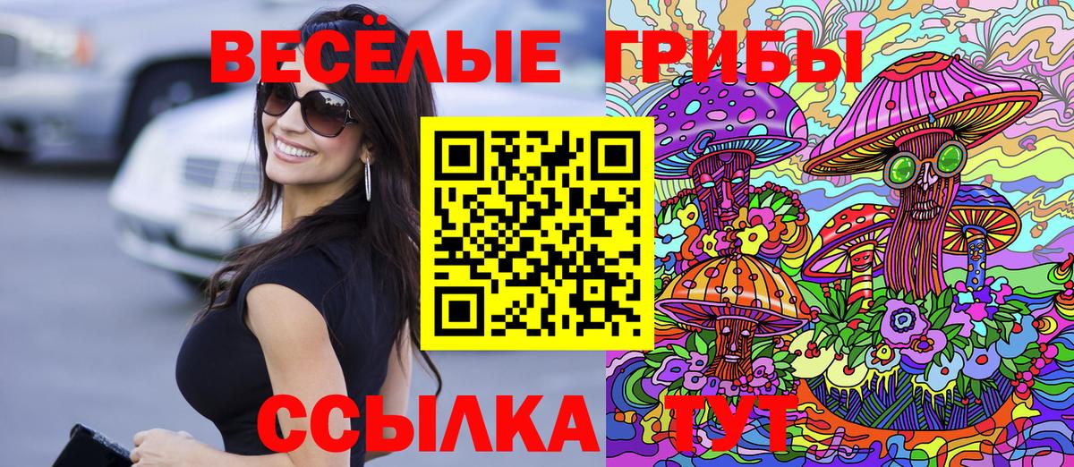 Галлюциногенные грибы Psilocybe Новороссийск