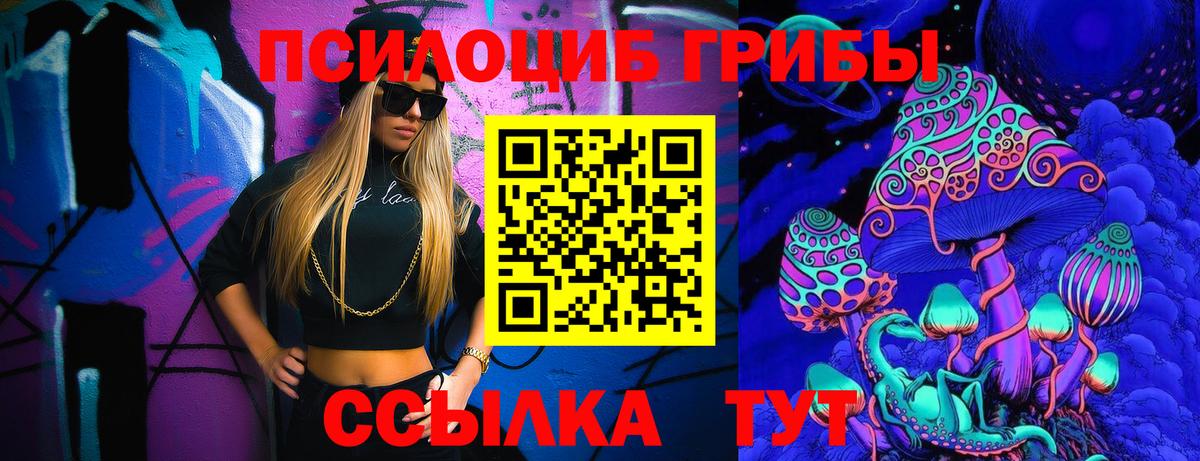 Новороссийск  Галлюциногенные грибы MAGIC MUSHROOMS  Вход с VPN  Псилоцибиновые грибы GOLDEN TEACHER 